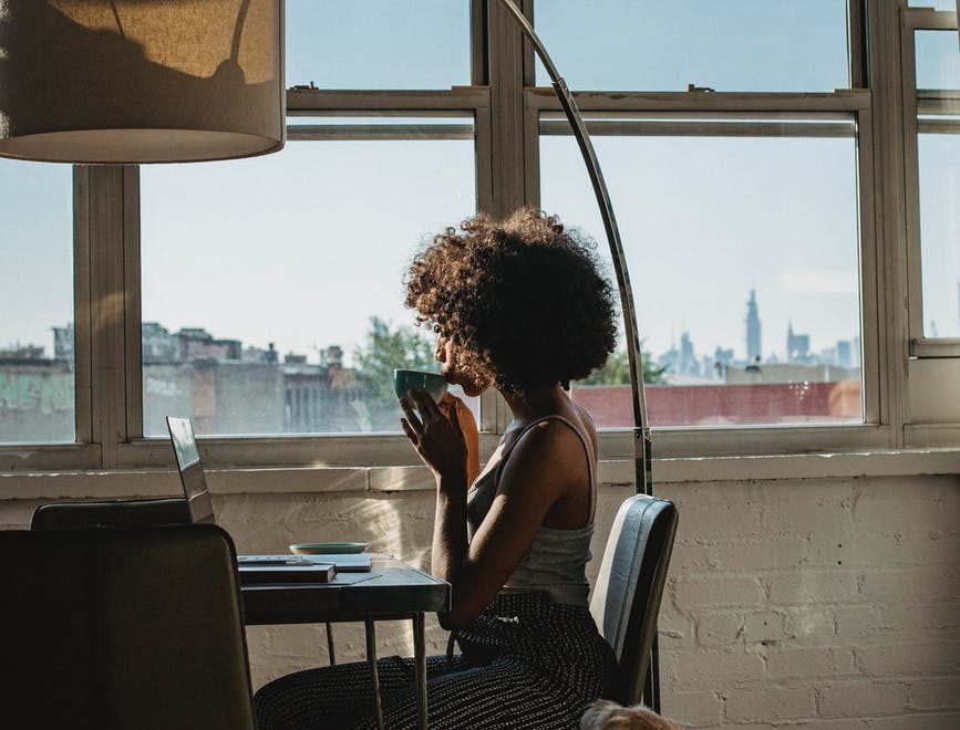 anonymous black female freelancer using laptop near dog