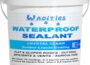 Waterproof Sealant Clear by Wadities in a white 70 oz bucket with handle and blue label, front view